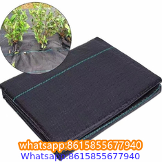 Plastic cheap anti weed mat woven PP ground cover for agriculture