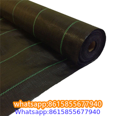 Plastic cheap anti weed mat woven PP ground cover for agriculture