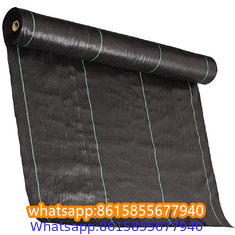 Plastic cheap anti weed mat woven PP ground cover for agriculture