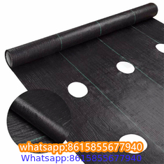 Plastic cheap anti weed mat woven PP ground cover for agriculture