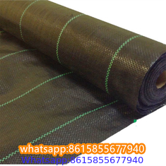 Plastic cheap anti weed mat woven PP ground cover for agriculture