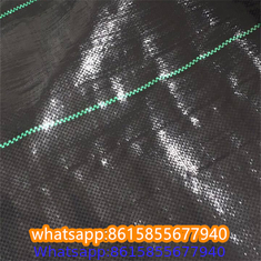 Plastic cheap anti weed mat woven PP ground cover for agriculture