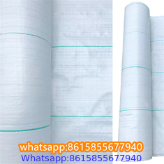 Plastic cheap anti weed mat woven PP ground cover for agriculture