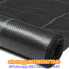 Plastic cheap anti weed mat woven PP ground cover for agriculture