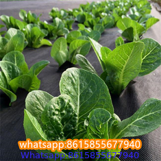 Plastic cheap anti weed mat woven PP ground cover for agriculture