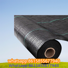 Plastic cheap anti weed mat woven PP ground cover for agriculture