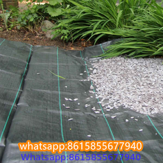 Plastic cheap anti weed mat woven PP ground cover for agriculture