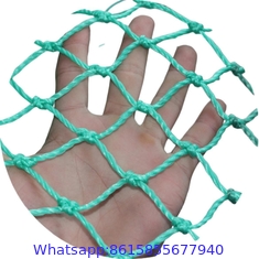 Best Seller Good Elasticity High Quality Nylon or Polyester Braided Knotted pheasant netting Fishing Net