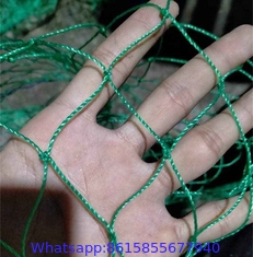 High Strength Serviceable Monofilament Nylon Blue Cheap Prices Hot Sale Fishing Net