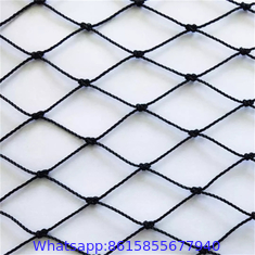 Wholesale Supplier Superior Tenacity High Quality nylon monofilament fishing net,fishing net,fish net