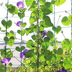 China # Plant suppor net supplier