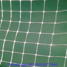 customizable various agricultural anti bird netting