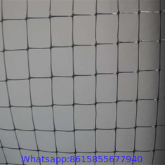 Agricultural anti-bird net / Invisible Anti bird net / Garden Vineyard