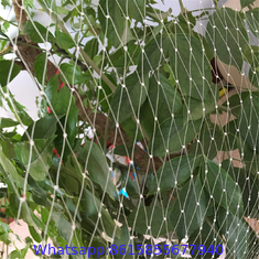 anti bird protection net