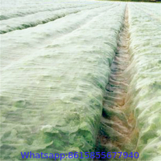 Agricultural Greenhouse Anti Insect Proof Plastic Net