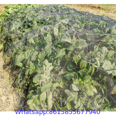 white agricultural anti insect net