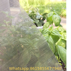 window screen against mosquitoes anti insect net