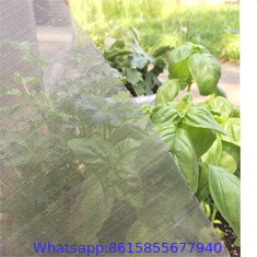 window screen against mosquitoes anti insect net