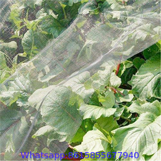 100% new 40 x 25 mesh plastic anti insect nets for greenhouse