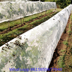 100% new 40 x 25 mesh plastic anti insect nets for greenhouse