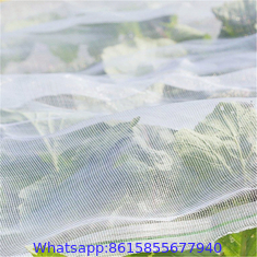 Agricultural Use Green House Anti Insect Net