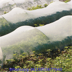 100% HDPE Insect Proof Net Plastic Agricultural Greenhouse Anti