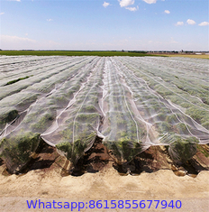 100% HDPE Insect Proof Net Plastic Agricultural Greenhouse Anti