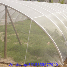 100% HDPE Insect Proof Net Plastic Agricultural Greenhouse Anti