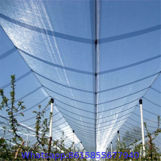 UV treated 100% virgin HDPE anti hail net