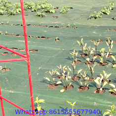 Anti Uv Plastic Agricultural Woven Pp Anti Weed Control Mat