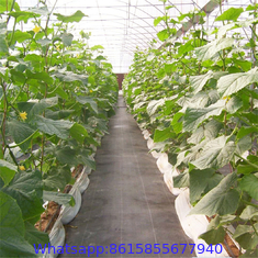 garden ground cover fabric / weed barrier mat / plastic pp anti weed agro weed