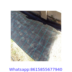 Horticulture Landscaping fabric/Weed barrier fabric/Plastic Ground Cover Net