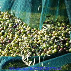 4X8m green hdpe mono Olive Net for harvest