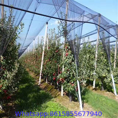 HDPE agriculture olive harvest nets for sale