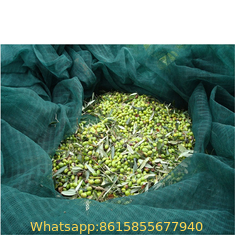 100% Virgin HDPE Olive Net Fruit Harvest Net Anti Bird Net