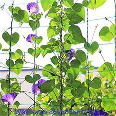 Trellis Plants Climbing Fruit Net Vegetables and Fruits Trellis Support