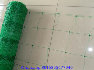 tomato used PE green plastic support net /plant climbing net on hot sale