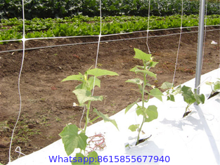 plastic trellis mesh netting, white garden trellis netting plant support mesh and