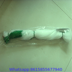 China Factory Supply Trellis Netting Plastic Wire Mesh/Low Price PE