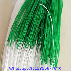 Plastic polypropylene trellis netting for support climbing plants