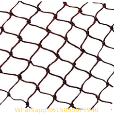 Monofilament Nylon Fishing Gill Net with Single Layer (YHZ-GLN05-5)