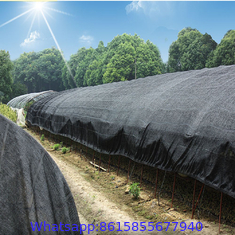 100% raw HDPE agricultural sun shade net