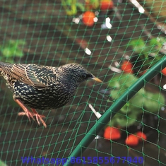 HDPE Transparent Agricultural Anti bird net, anti bird netting