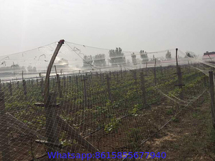 Extruded square agricultural anti bird protection net