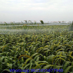 Extruded square agricultural anti bird protection net