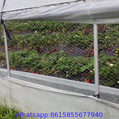 Extruded square agricultural anti bird protection net