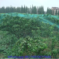 100% Virgin Anti Bird Plastic Net for Fruit Cage Netting