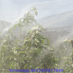 Anti-Insect-Net-for-Agriculture-and-Garden-Greenhouse