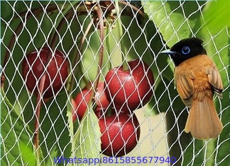 hdpe/nylon material bird net, anti bird net