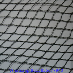 hdpe/nylon material bird net, anti bird net